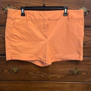Loft Riviera Shorts size 14